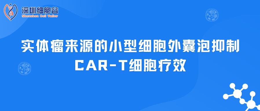 實(shí)體瘤來源的小型細(xì)胞外囊泡抑制CAR-T細(xì)胞療效
