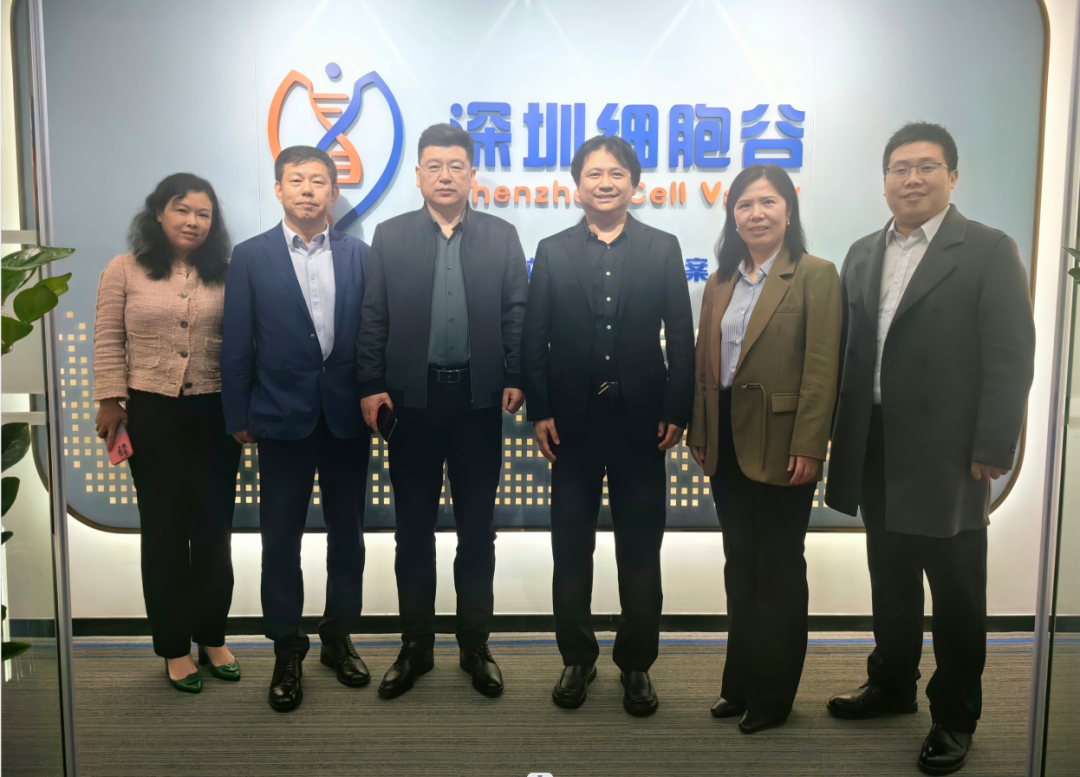河南科技大學(xué)第二附屬醫(yī)院院長(zhǎng)邢建武、副院長(zhǎng)王慧睿一行蒞臨深圳細(xì)胞谷交流訪問(wèn)