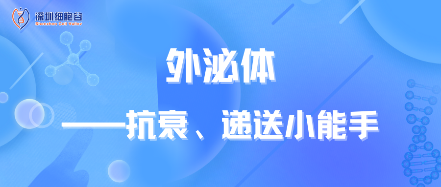 外泌體——抗衰、遞送小能手
